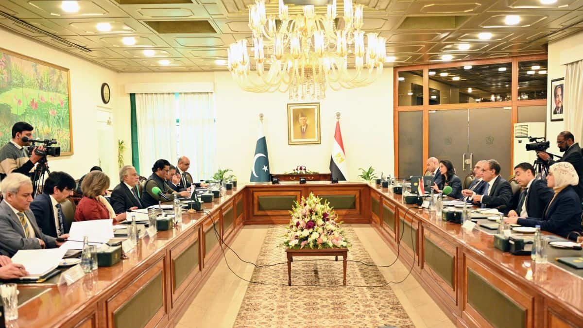 Pakistan, Egypt agree to boost economic and defence ties after years of stagnation
