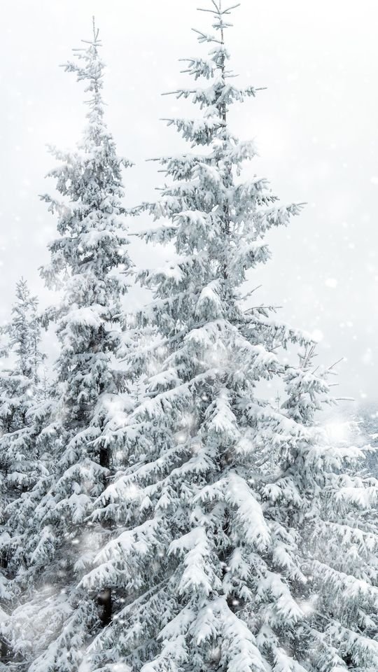 5 Magical Winter Getaways in India for Snow Lovers