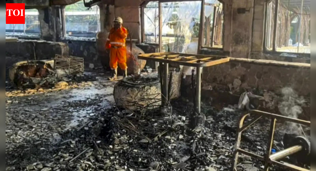 25 killed in Goa nightclub inferno; police team in Delhi to arrest owners