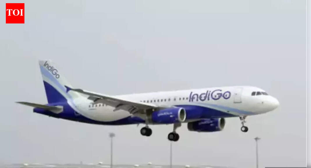 Panel questions IndiGo, DGCA babus, gets ‘unconvincing’ replies