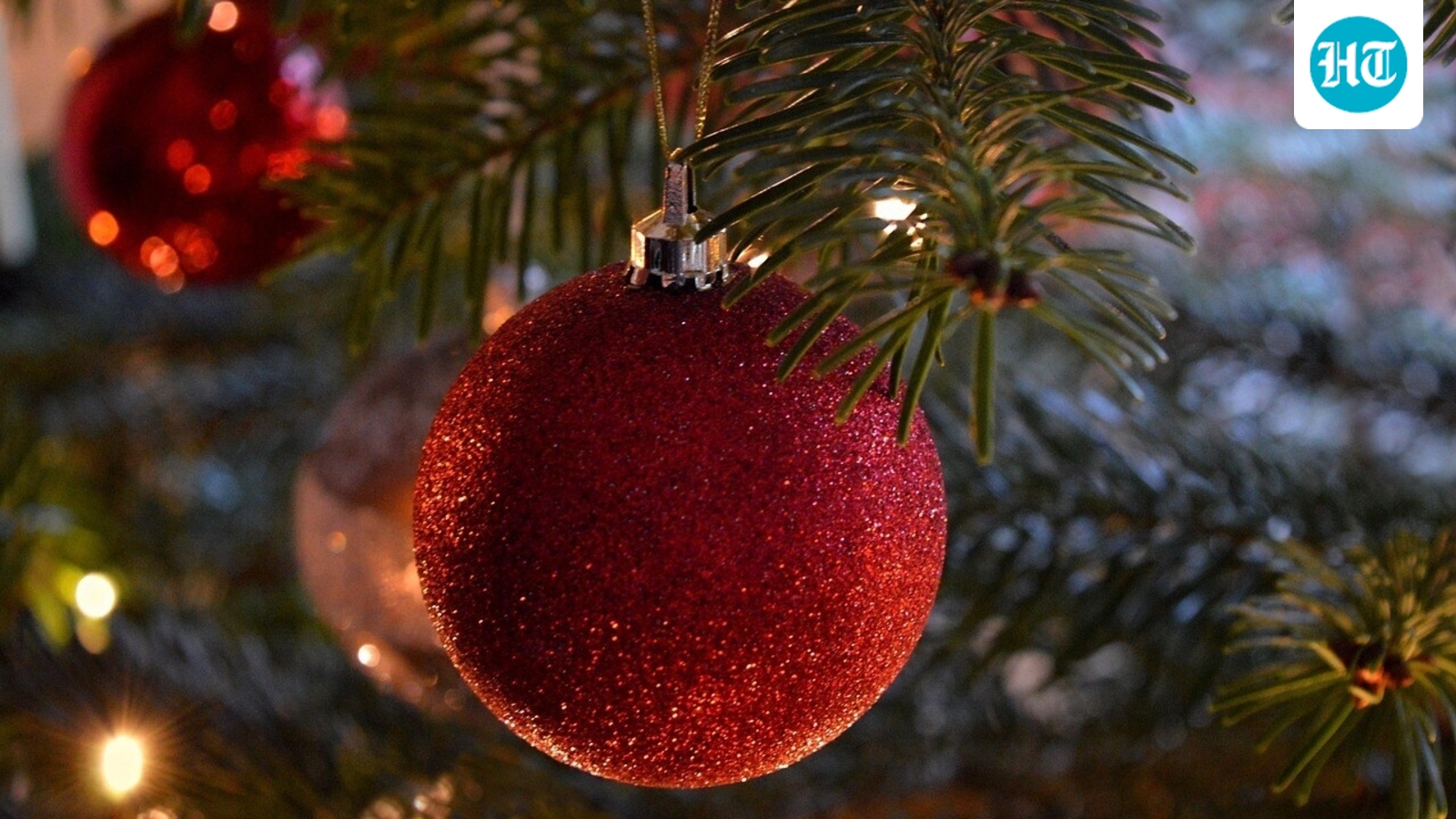 Is your Christmas tree impacting WiFi? 5 festive habits that slow down internet