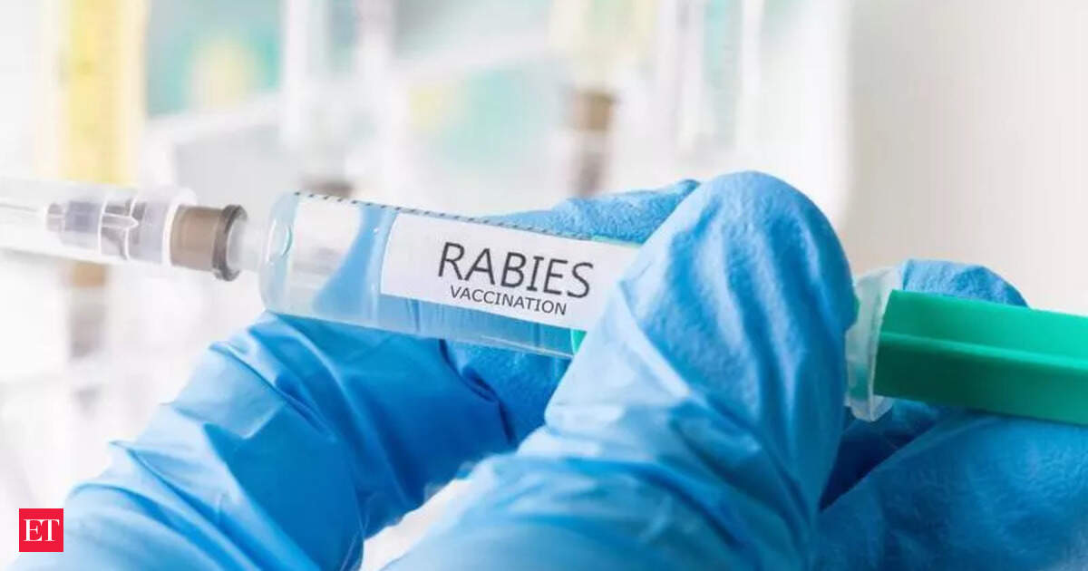 Abhayrab rabies vaccine: IIL says counterfeit batch no longer available