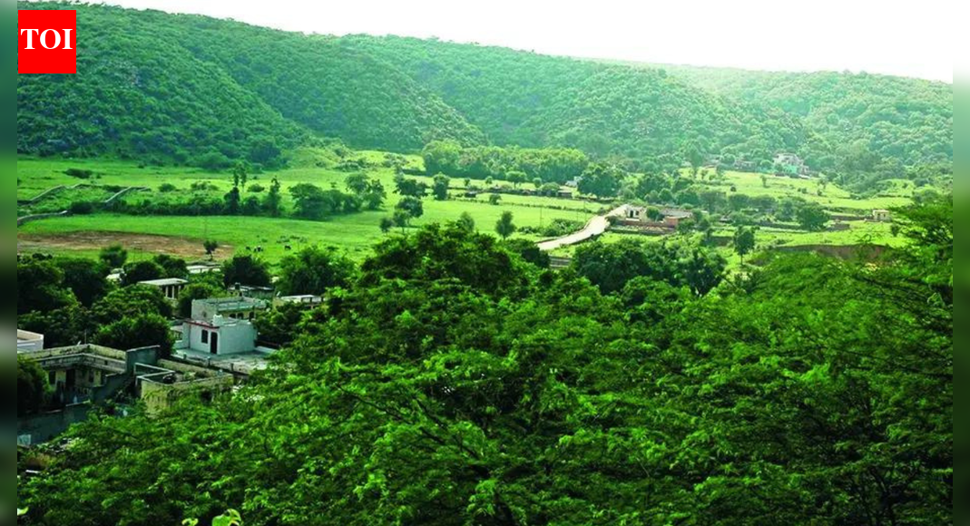 Rajasthan: Over 1,230 mine leases exist across Aravalis in the state; Rajsamand district alone accounts for over 540