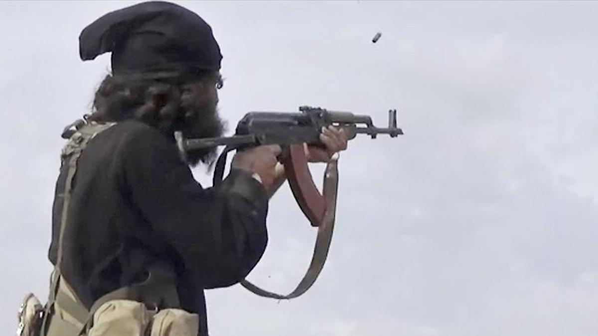 Nearly 25 Islamic State fighters killed or captured in Syria, U.S. military says