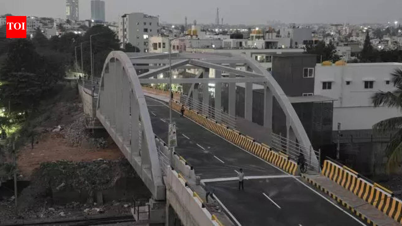 After delays & hurdles, Goripalya–Hosahalli railway bridge finally ready for public