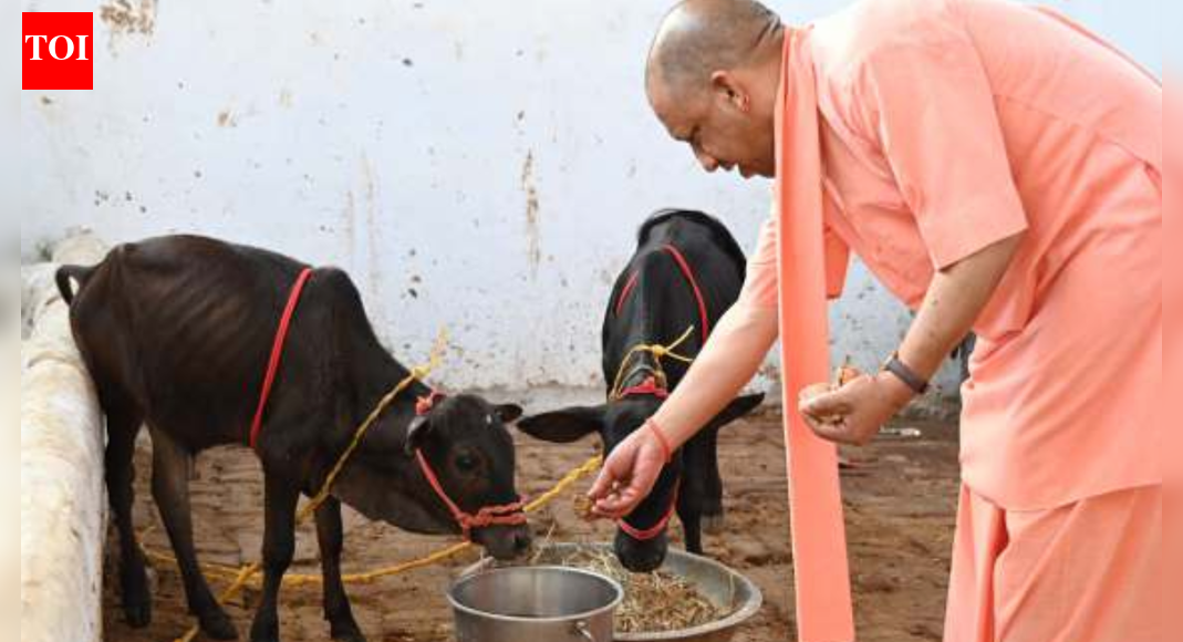 From wheat to milk: Uttar Pradesh’s agriculture clocks record output, boosts farm incomes