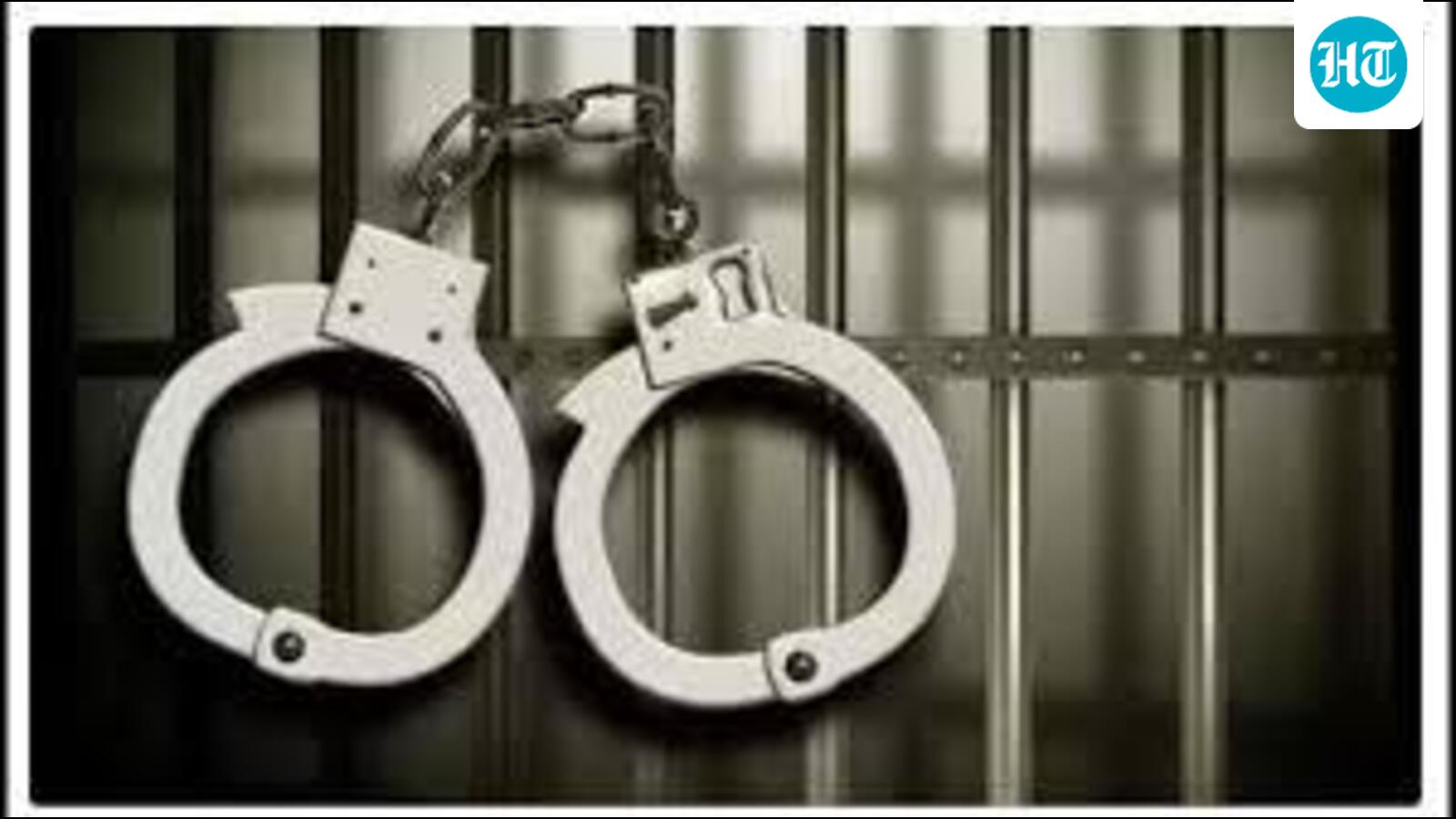 Bathinda man gets 7-yr RI for raping Zirakpur woman on pretext of helping her get a job