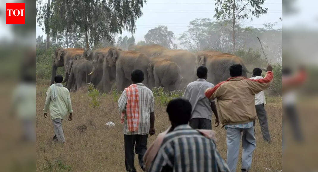 Bannerghatta ESZ revival casts shadow on development projects