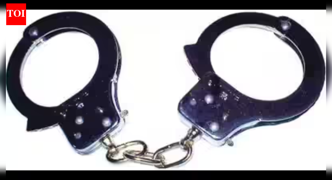 2 held for killing ex-law officer’s wife in Punjab, cops say help planned it