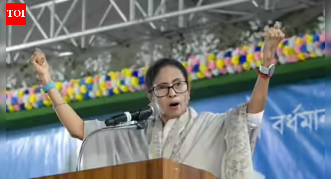 EC trying to disenfranchise genuine voters, claims Mamata