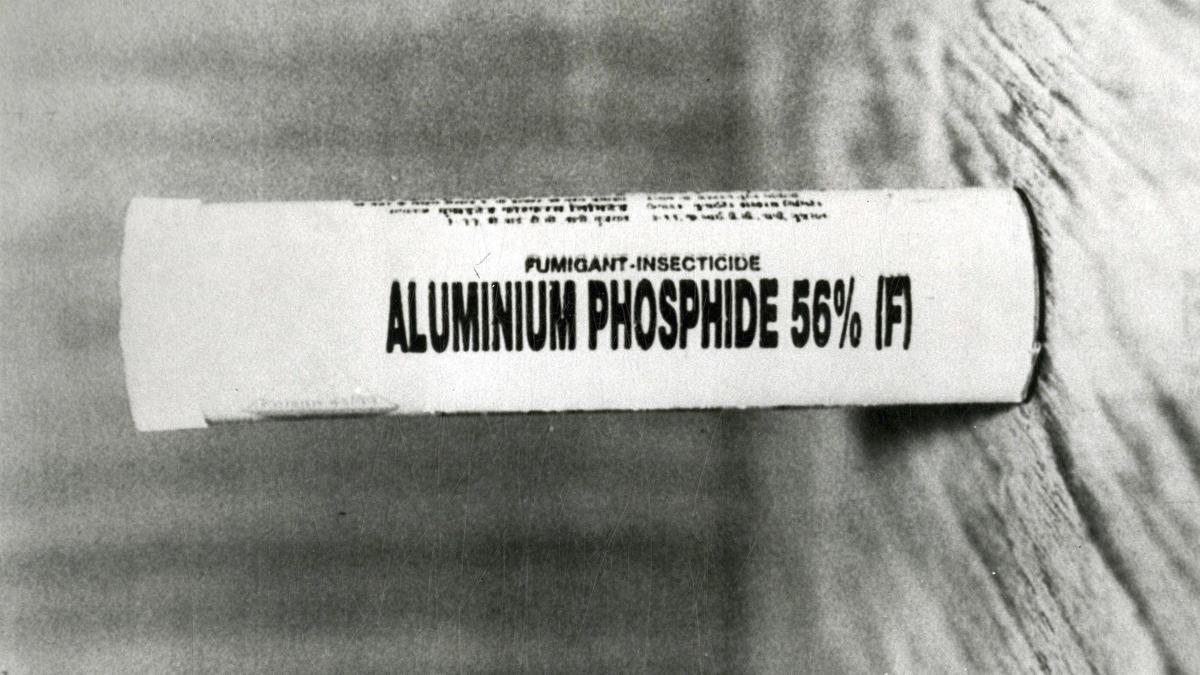 PGIMER doctors achieve major breakthrough in deadly Celphos poisoning