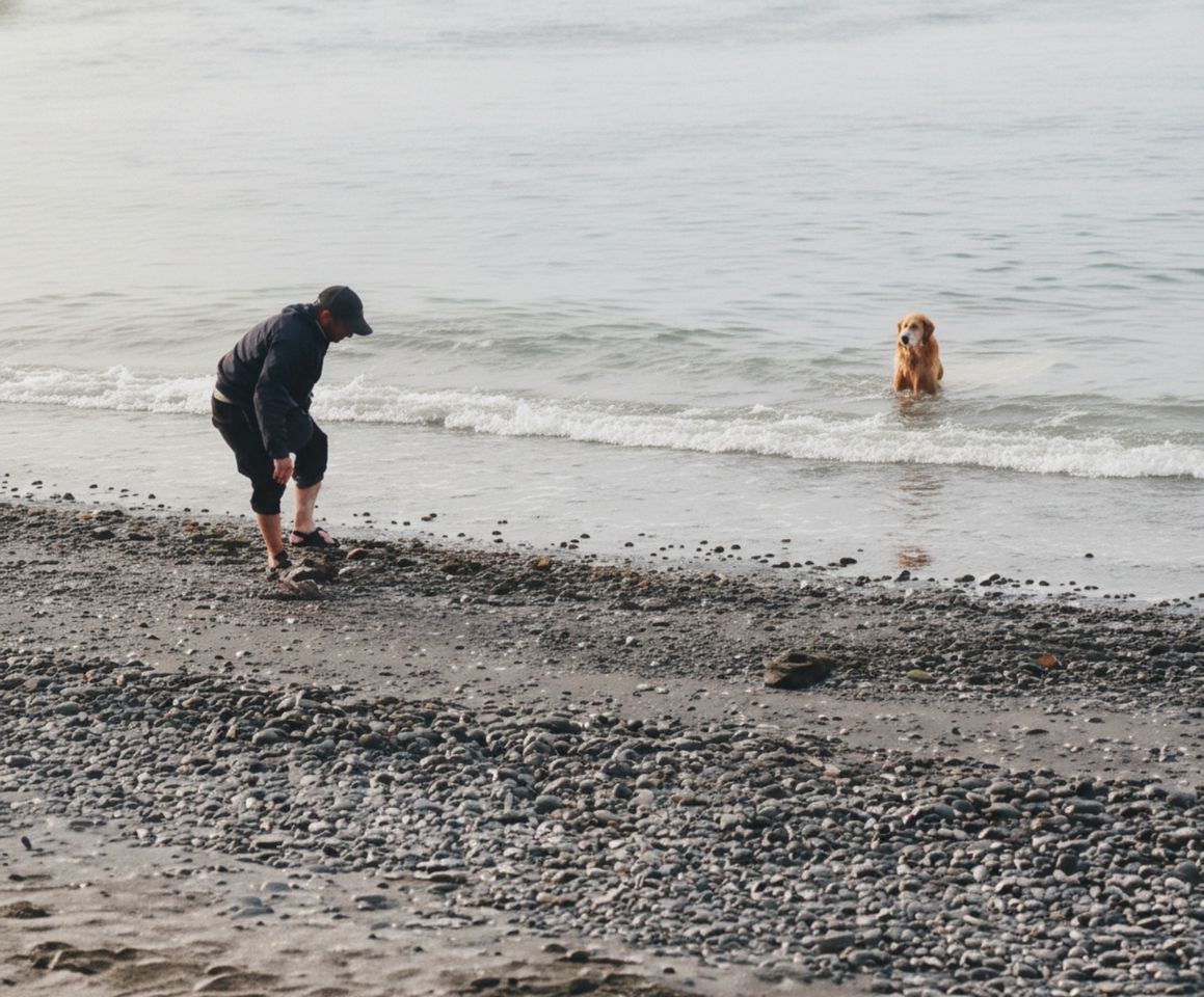 When your dog falls in love with sea beach! Watch