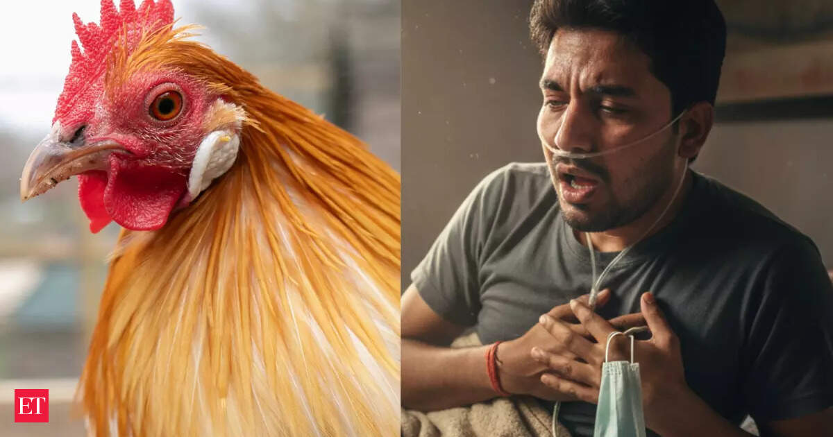 Bird flu scare in Tamil Nadu as over 1,000 crows found dead in Chennai, nearby areas: Check avian flu signs, symptoms and how you can stay safe