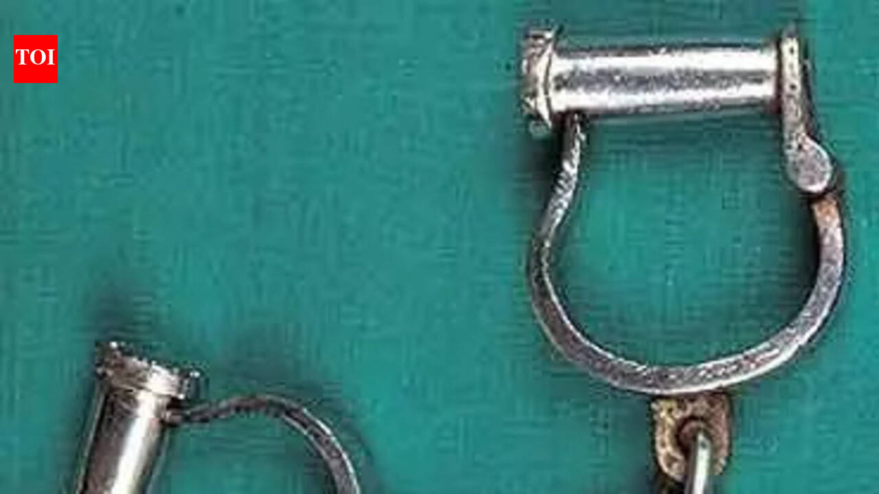 Mumbai police arrest autorickshaw driver for Rs 41 lakh burglary at Vile Parle bungalow, hunt on for his two accomplices