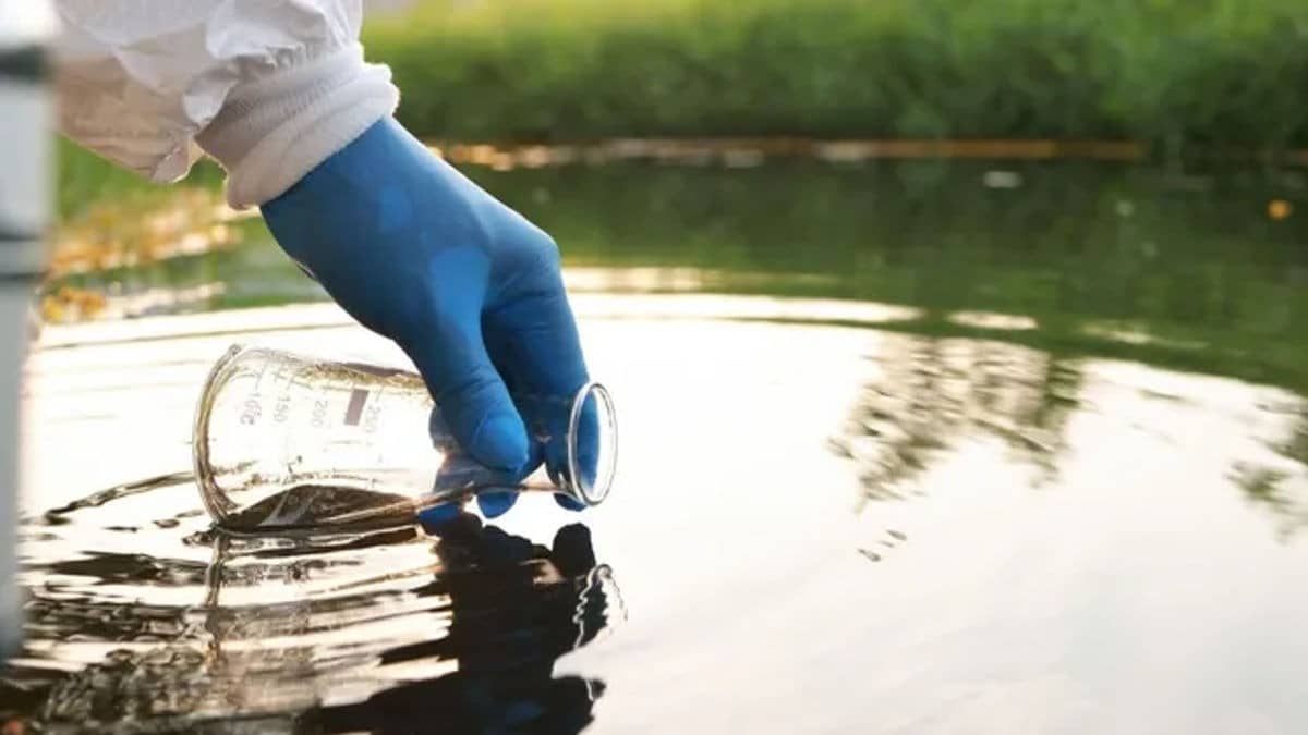 Palwal Water Contamination: District Collector Says 7, Not 22, Dead, Faces Backlash