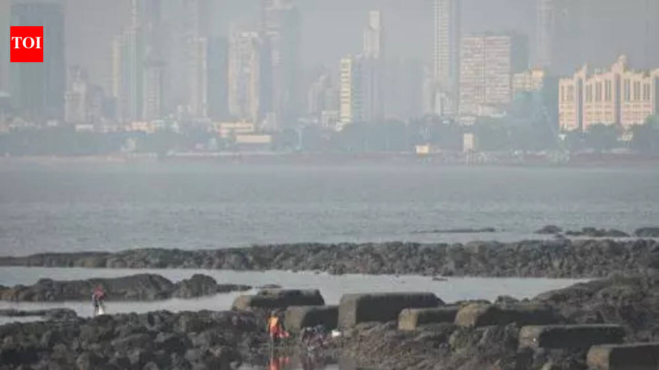 Navi Mumbai: Panvel corporator files writ petition in Bombay high court over Leader of Opposition appointment delay