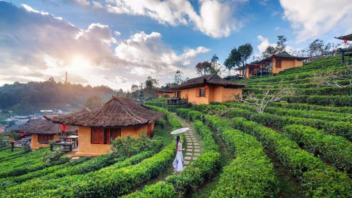 Planning A Trip To Ooty, This 127-Year-Old UNESCO World Heritage Site Must Be On Your List