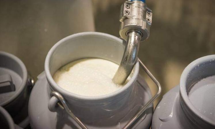 AP Milk Contamination: Death Toll Rises to 13