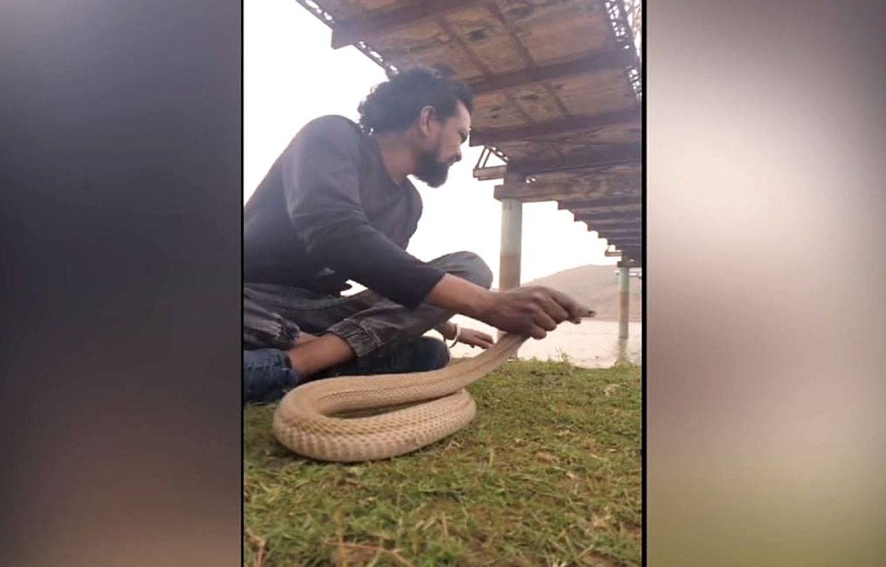Odisha man ‘attempts suicide’ by snake bite after altercation with wife; video goes viral