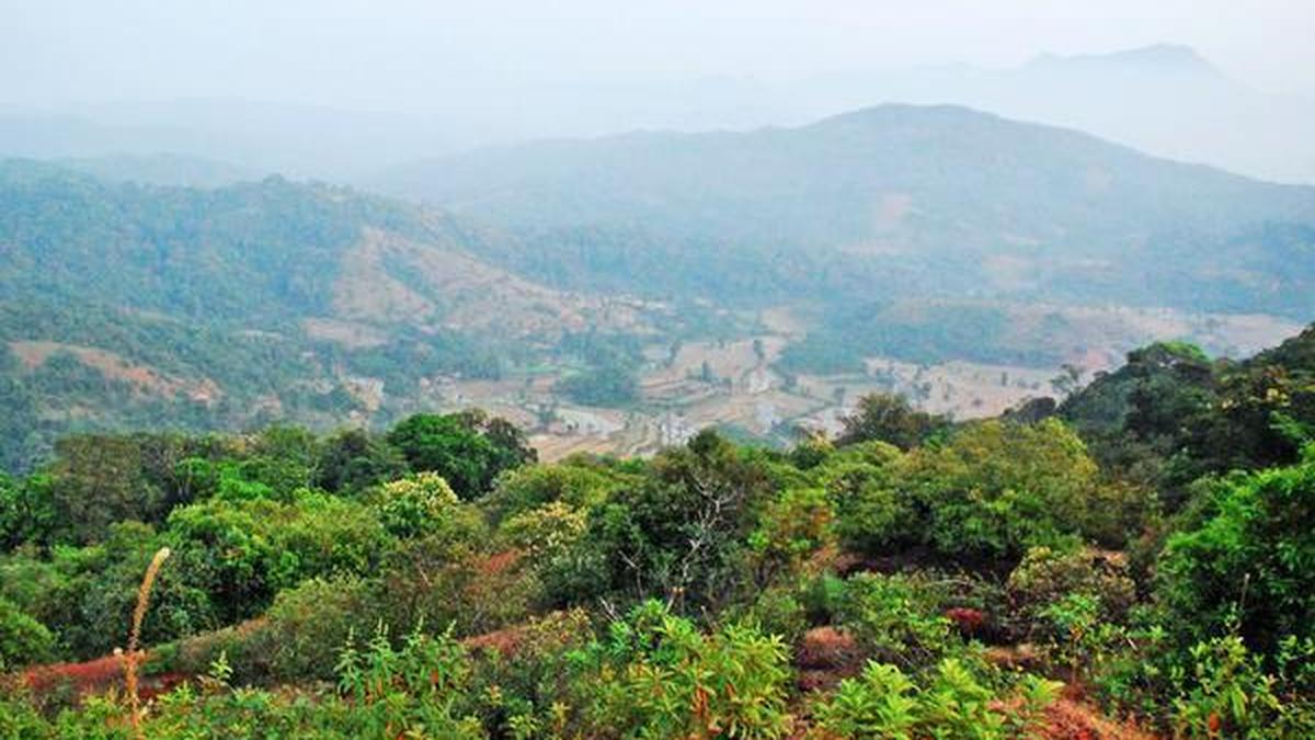 Sharavathi Hydroelectric Project: The cost of energy transition