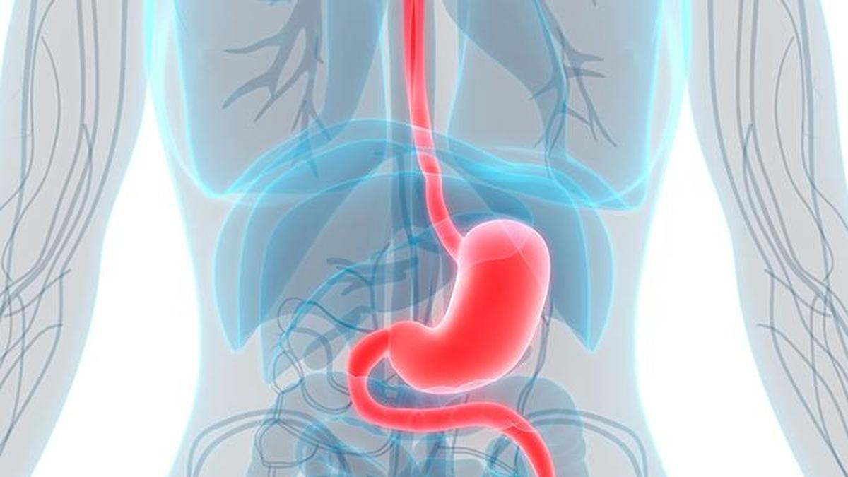 Survey flags low colorectal cancer awareness, rising digestive health risks in Bengaluru