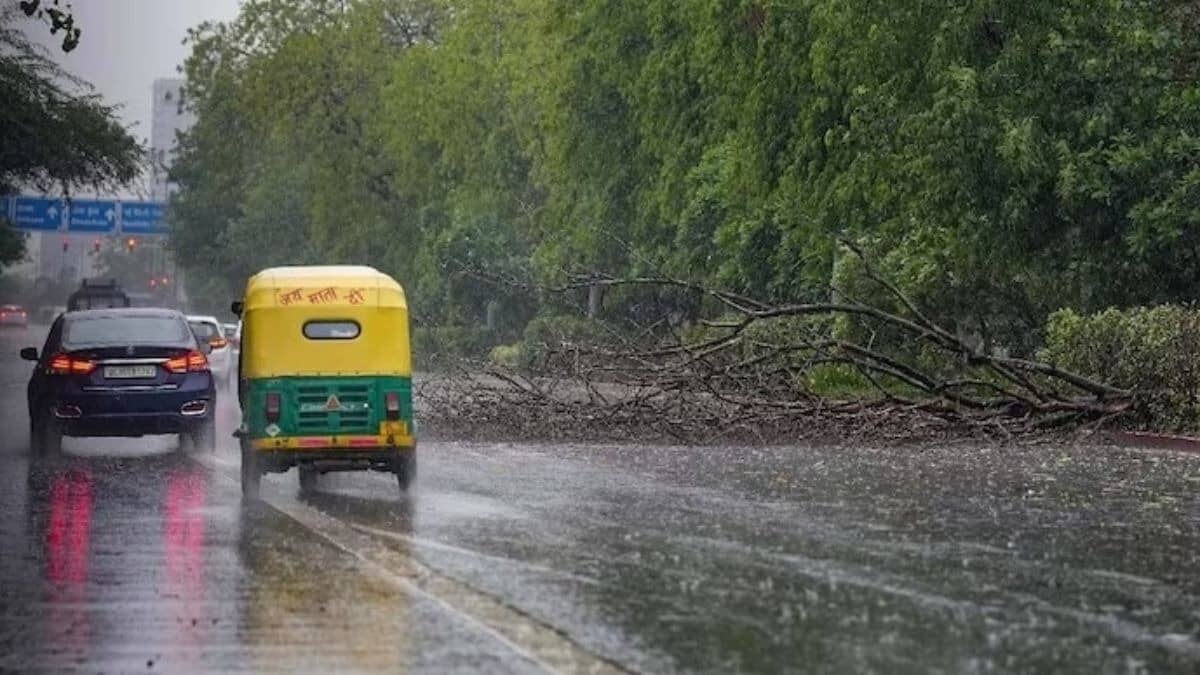 IMD Weather Alert: Heavy Rain in Northeast, Thunderstorms & Hail Likely Across Delhi, UP, Punjab & More States