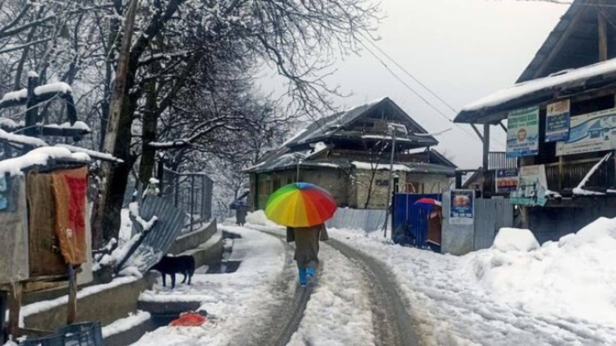 Western Disturbance To Bring 36 Hours Of Rain, Snow, And Storms Across Jammu and Kashmir; Srinagar Issues Advisory