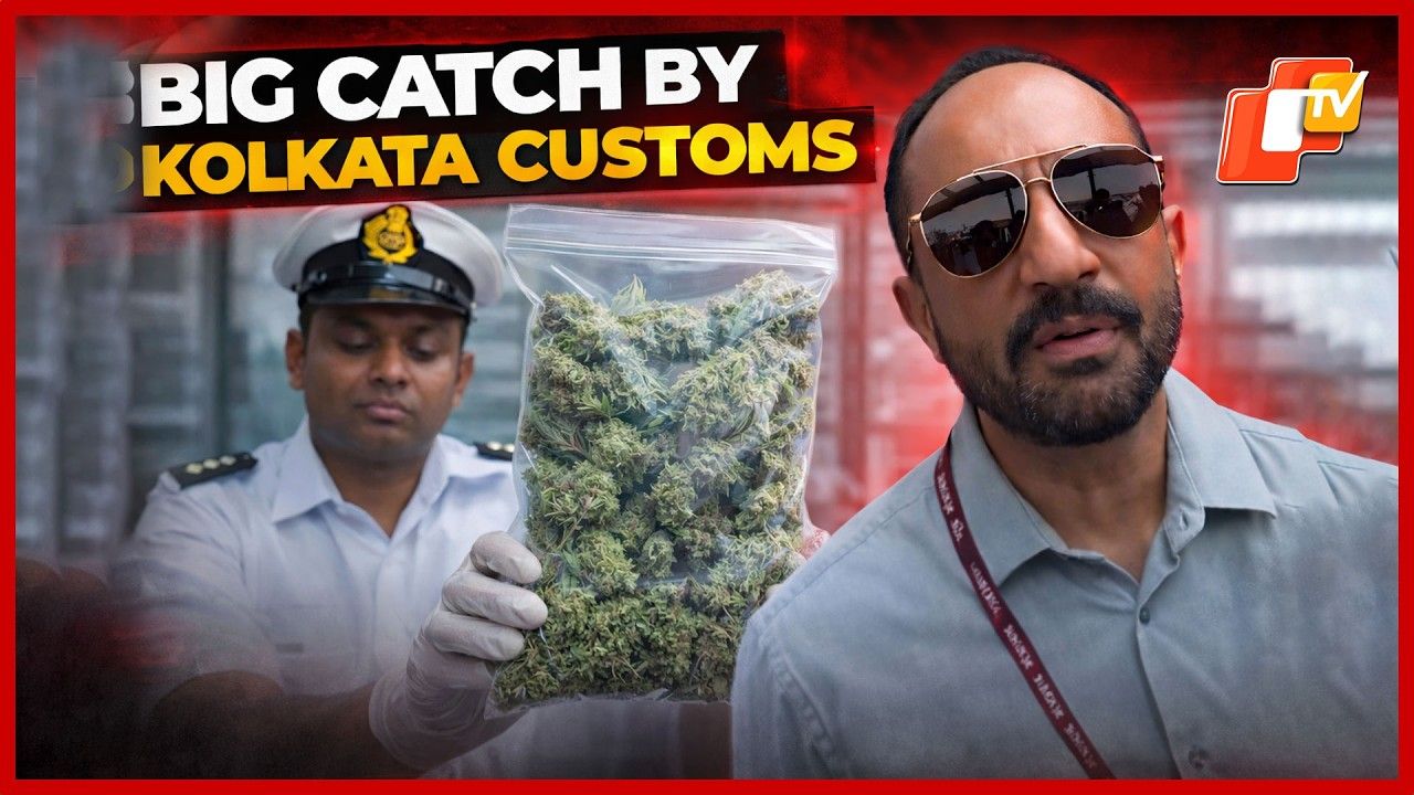 Kolkata Customs Seize 800g Hydroponic Cannabis From Thailand Passenger