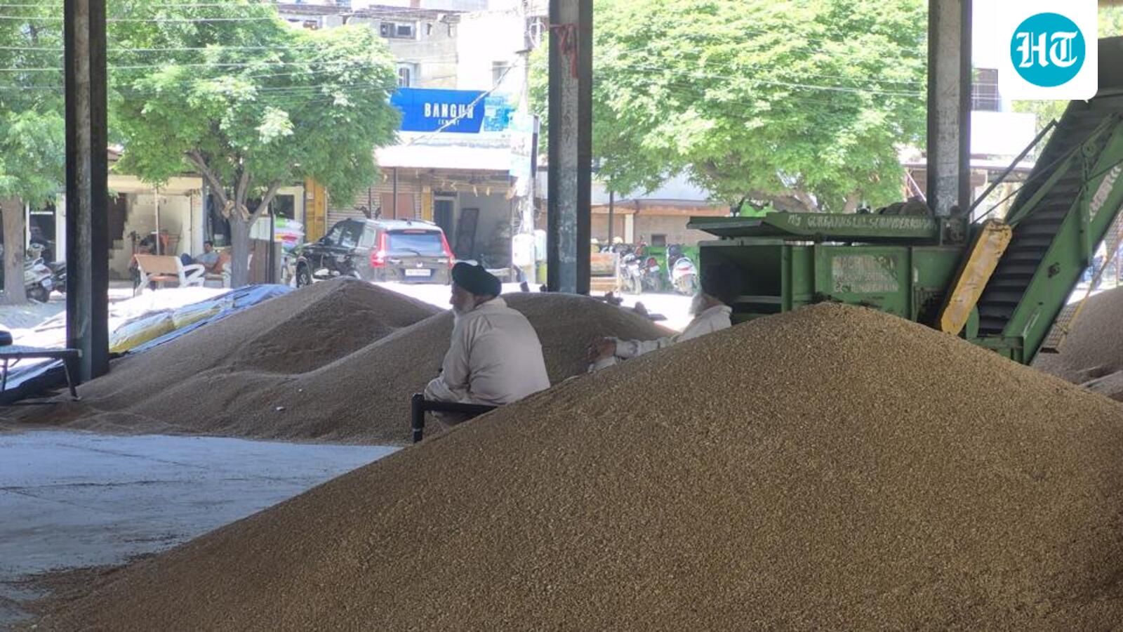 Baisakhi deadlock: Procurement staff strike grinds wheat purchase to halt in Sangrur