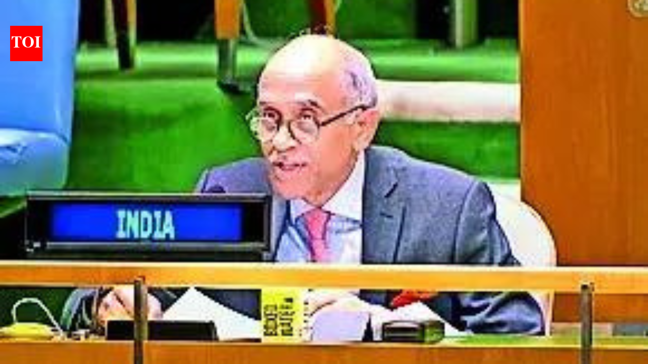 Expanding permanent category with veto critical to real reform of UNSC: India