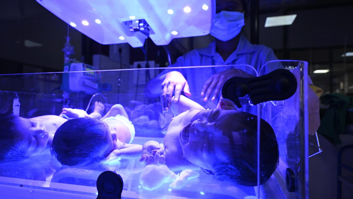 Umbilical cord blood may hold clues for a child’s risk of developing Type 1 diabetes