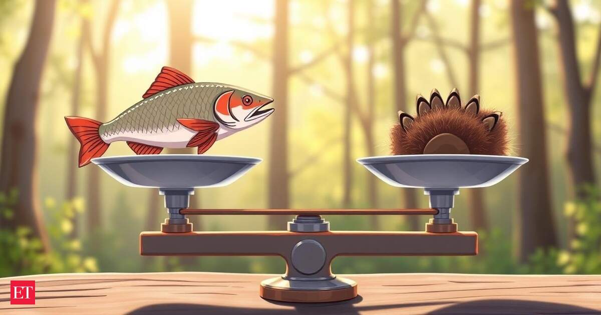 Chinese proverb of the day: ‘One cannot have both the fish and the…’ -making, understanding priorities and why you can’t have it all