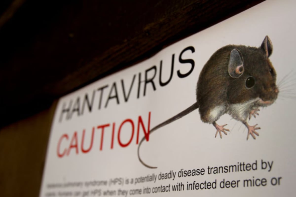 Hantavirus Outbreak: Members Of Atlantic Cruise Ship In ‘Urgent’ Need Of Care, Now What Next?