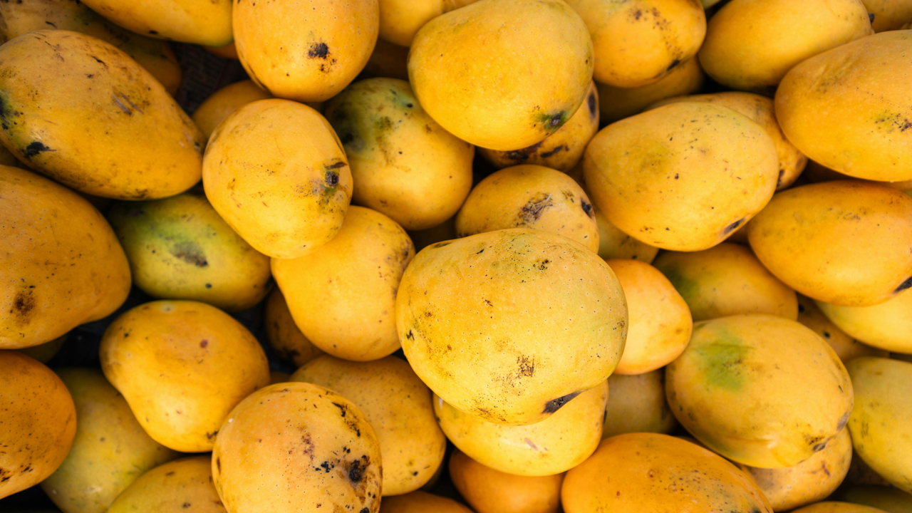 Dhenkanal farmers export 3 tonnes of Amrapali mangoes to London