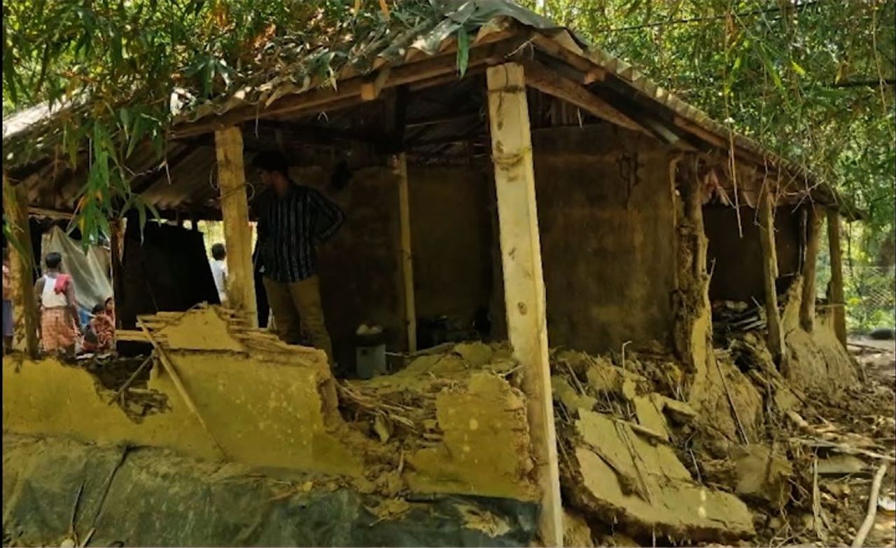 Elephant strays into Balasore village, damages houses and crops